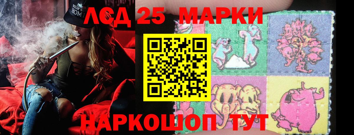 где купить наркоту  Вход с VPN  Знаменск  Наркотические марки 1500мкг 